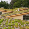 The Benefits and Uses of Green Roofs