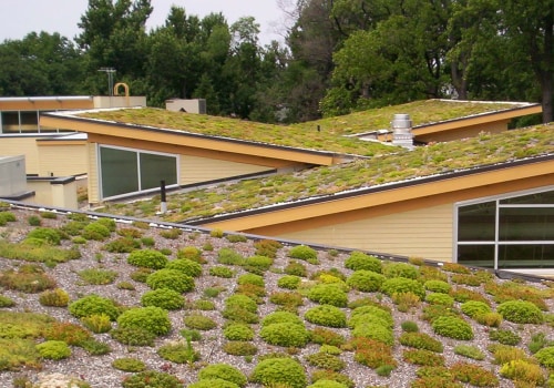 The Benefits and Uses of Green Roofs